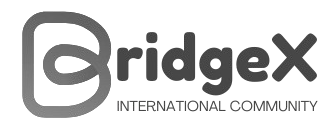 BridgeX Logo